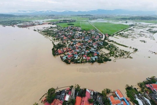 Cục Quản lý đê điều yêu cầu khẩn trương triển khai phương án bảo vệ đê trước mưa lũ lớn