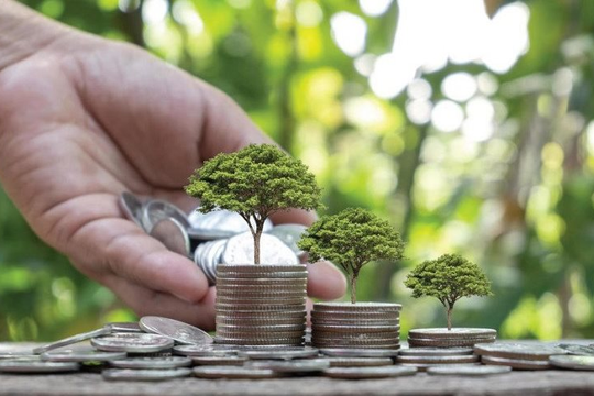 COP30 lo ngại nguy cơ đứt gãy tài chính khí hậu toàn cầu