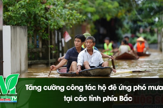 [VIDEO] Tăng cường công tác hộ đê ứng phó mưa lũ tại các tỉnh phía Bắc