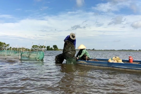 Dự báo lũ và triều cường tại Đồng bằng sông Cửu Long năm 2025