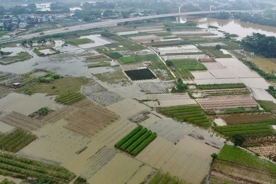 Thái Nguyên chịu thiệt hại nặng nề do mưa lũ, ước tính trên 54 tỷ đồng