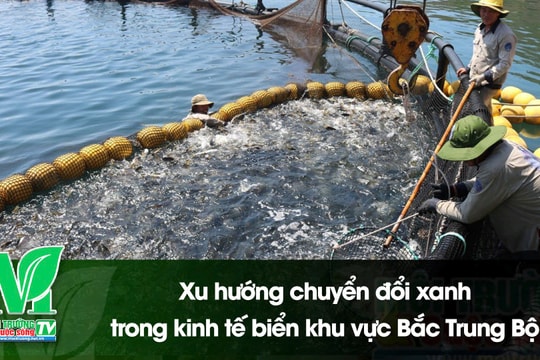 [VIDEO] Xu hướng chuyển đổi xanh trong kinh tế biển khu vực Bắc Trung Bộ