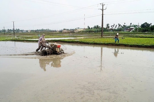 Nguy cơ thiếu nước vụ hè thu tại một số địa phương, mưa lớn gây ngập úng diện rộng ở miền Bắc