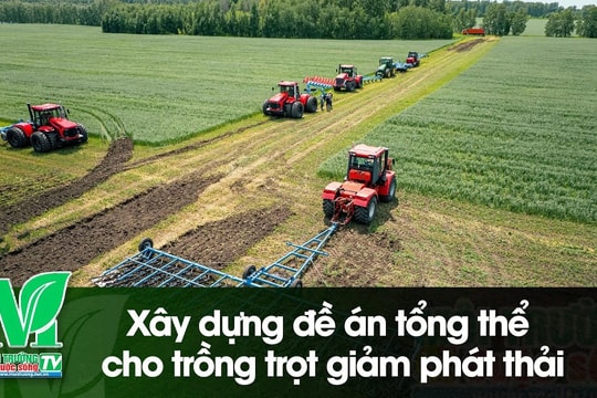 [VIDEO] Xây dựng đề án tổng thể cho trồng trọt giảm phát thải