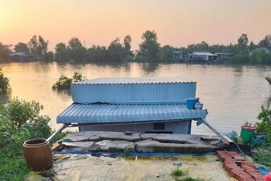 Cà Mau: Sạt lở trong đêm cuốn trôi nhiều nhà dân, thiệt hại hàng tỉ đồng