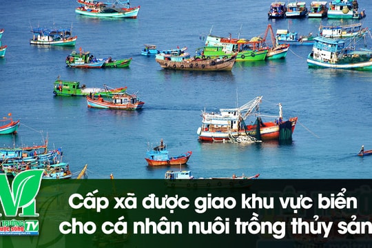[VIDEO] Cấp xã được giao khu vực biển cho cá nhân nuôi trồng thủy sản