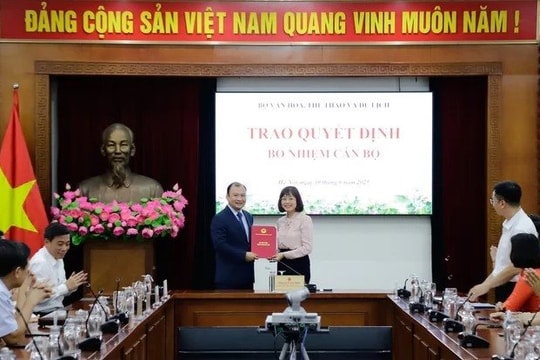 Bổ nhiệm Phó Cục trưởng Cục Du lịch quốc gia Việt Nam
