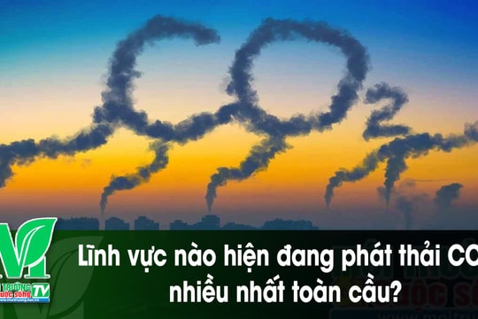 [VIDEO] Lĩnh vực nào hiện đang phát thải CO2 nhiều nhất toàn cầu?