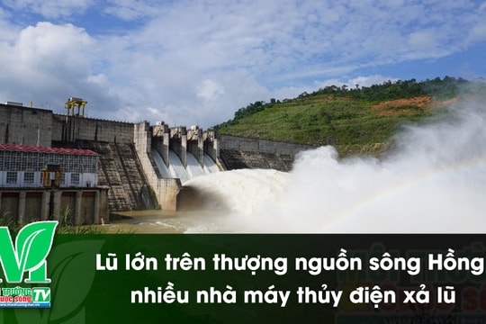 [VIDEO] Lũ lớn trên thượng nguồn sông Hồng, nhiều nhà máy thủy điện xả lũ