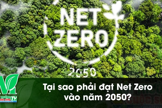 [VIDEO] Tại sao phải đạt Net Zero vào năm 2050?