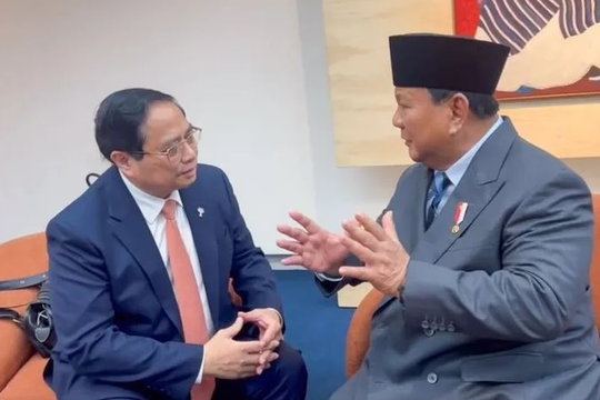 Việt Nam, Indonesia nhất trí thúc đẩy ký kết hiệp định thương mại gạo