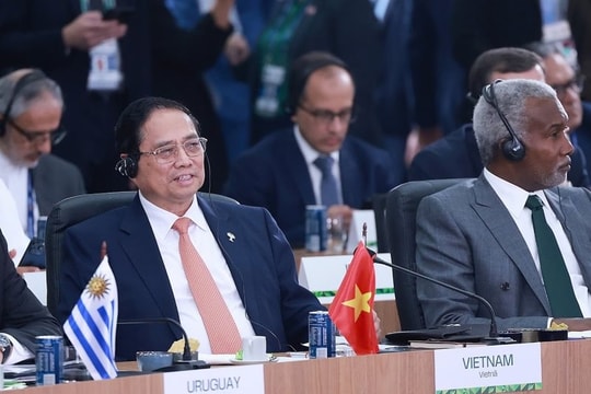 Thủ tướng nêu 5 đề xuất vì môi trường, y tế toàn cầu tại Hội nghị BRICS