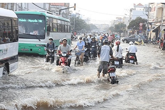 Cảnh báo triều cường tại Đông Nam Bộ: Chủ động ứng phó để giảm thiểu thiệt hại