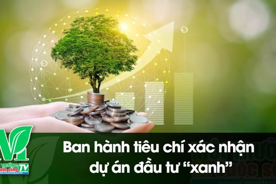 [VIDEO] Ban hành tiêu chí xác nhận dự án đầu tư “xanh”