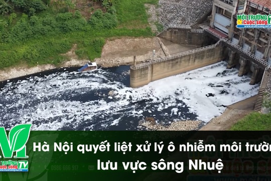 [VIDEO] Hà Nội quyết liệt xử lý ô nhiễm môi trường lưu vực sông Nhuệ