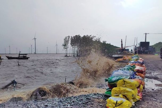 Bộ NN&MT yêu cầu các tỉnh, thành phố rà soát, hoàn thành khắc phục sự cố đê, điều
