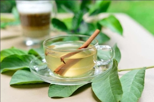 Uống nước lá ổi lúc nào tốt nhất cho sức khỏe?