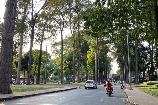 Tình hình không khí sáng 11/7: Hà Nội và TP Hồ Chí Minh đều ở mức trung bình