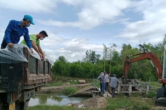 Gia Lai: Chủ tịch xã gửi thư xin lỗi người dân vì tình trạng vứt xác heo bừa bãi gây ô nhiễm