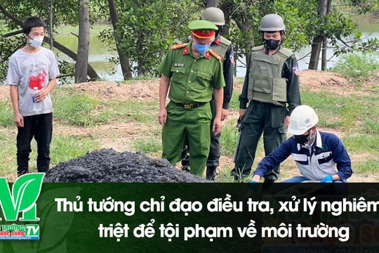 [VIDEO] Thủ tướng chỉ đạo điều tra, xử lý nghiêm, triệt để tội phạm về môi trường