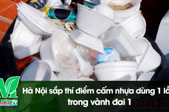 [VIDEO] Hà Nội sắp thí điểm cấm nhựa dùng một lần trong vành đai 1