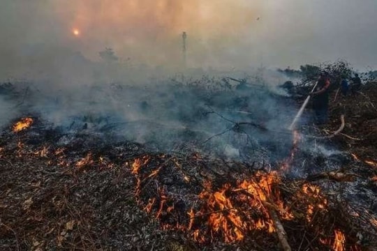 Biến đổi khí hậu làm gia tăng nguy cơ cháy rừng trên khắp châu Âu