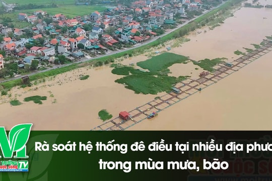 [VIDEO] Rà soát hệ thống đê điều tại nhiều địa phương trong mùa mưa, bão