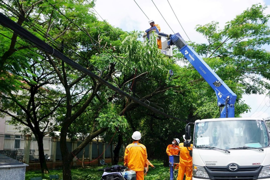 TP.HCM tăng cường ứng phó sự cố môi trường mùa mưa bão 2025