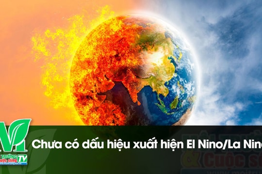 [VIDEO] Chưa có dấu hiệu xuất hiện El Nino/La Nina