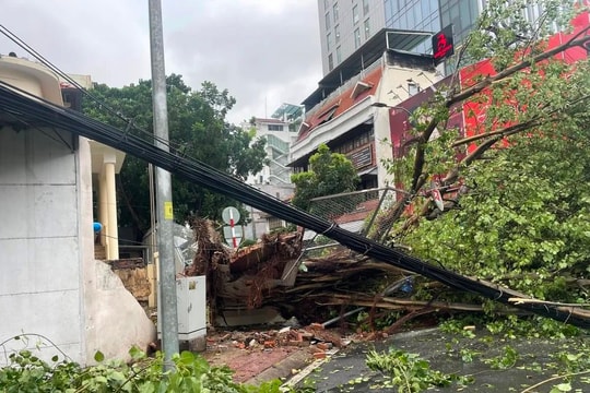 TP Hồ Chí Minh triển khai các phương án ứng phó với ảnh hưởng của bão số 3