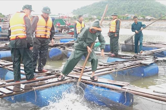 Nghệ An: Chủ động phòng chống bão số 3 Wipha