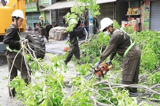 Những nhiệm vụ trọng tâm của cấp xã trong phòng, chống thiên tai