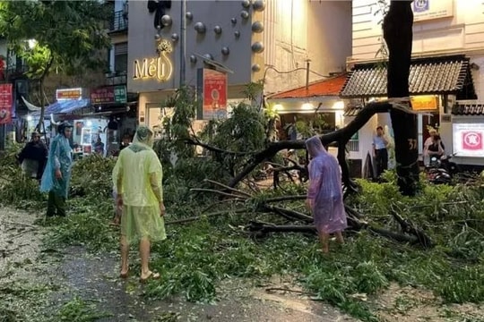 Hà Nội yêu cầu trường học chủ động ứng phó bão số 3