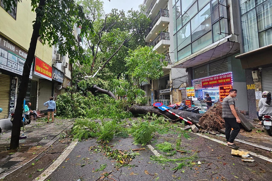 Hà Nội: Gần 4.000 người ứng trực thoát nước, xử lý cây xanh gãy đổ chống bão số 3