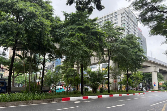 Dự báo thời tiết Hà Nội ngày 23/7/2025: Trời nhiều mây, có mưa, cục bộ có nơi mưa to và dông