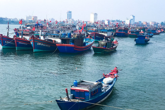 Thủ tướng chỉ đạo tăng cường chống khai thác thủy sản bất hợp pháp IUU