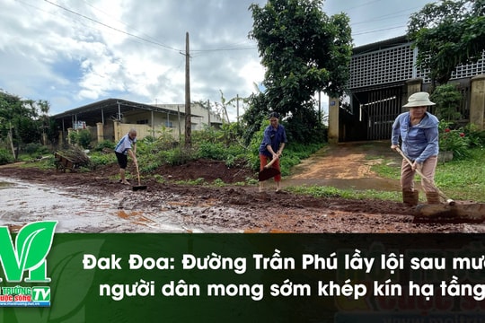 [VIDEO] Đak Đoa: Đường Trần Phú lầy lội sau mưa, người dân mong sớm khép kín hạ tầng