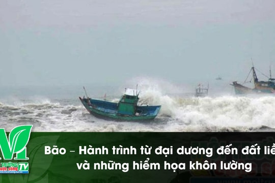[VIDEO] Bão – Hành trình từ đại dương đến đất liền và những hiểm họa khôn lường