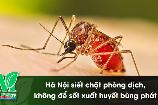 [VIDEO] Hà Nội siết chặt phòng dịch, không để sốt xuất huyết bùng phát