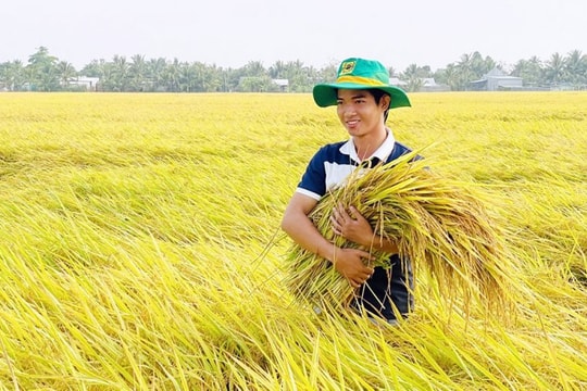 Ngành trồng trọt hướng tới giảm ít nhất 10% phát thải khí nhà kính vào năm 2030