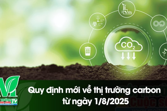 [VIDEO] Quy định mới về thị trường carbon từ ngày 1/8/2025