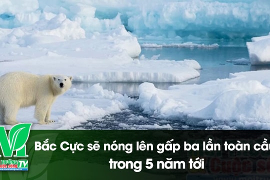 [VIDEO] Bắc Cực sẽ nóng lên gấp ba lần toàn cầu trong 5 năm tới
