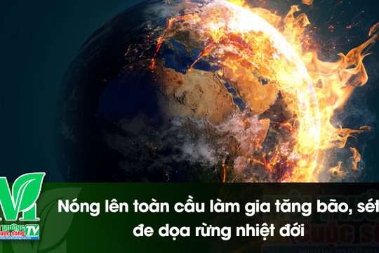 [VIDEO] Nóng lên toàn cầu làm gia tăng bão, sét, đe dọa rừng nhiệt đới