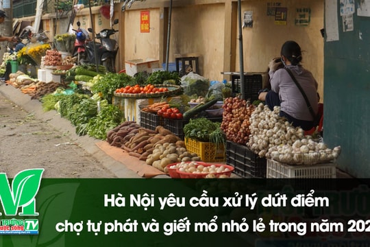 [VIDEO] Hà Nội yêu cầu xử lý dứt điểm chợ tự phát và giết mổ nhỏ lẻ trong năm 2025