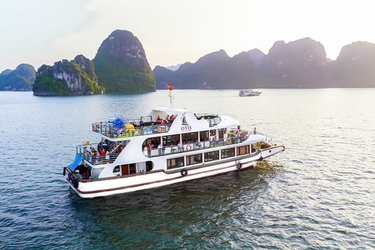 Toàn bộ tàu du lịch trên vịnh Hạ Long sẽ hoàn tất lắp đặt thiết bị AIS trước ngày 15/8