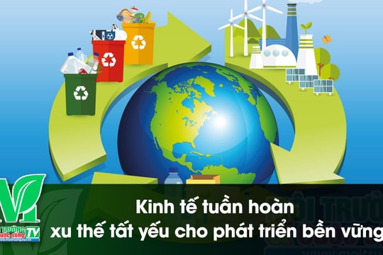 [VIDEO] Kinh tế tuần hoàn - Xu thế tất yếu cho phát triển bền vững