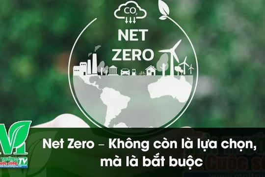 [VIDEO] Net Zero – Không còn là lựa chọn, mà là bắt buộc