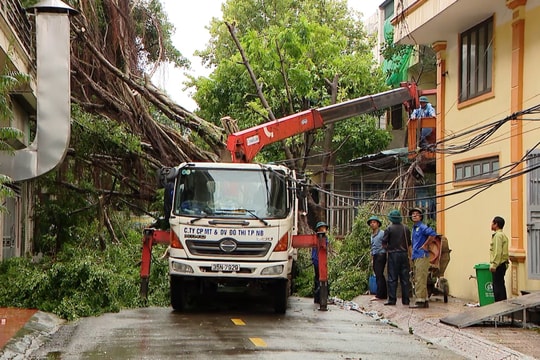 Bão số 3 khiến Ninh Bình thiệt hại hơn 386 tỷ đồng