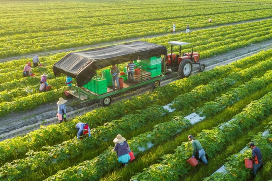 Miễn và ưu đãi thuế thu nhập doanh nghiệp cho nông nghiệp và môi trường