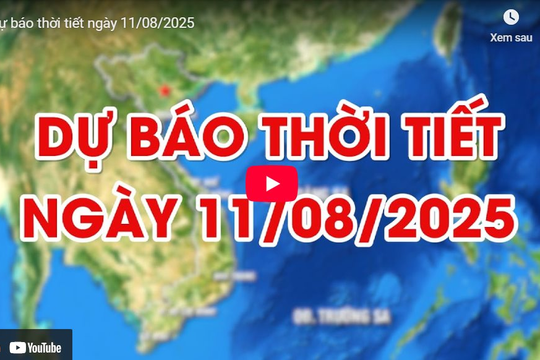 Dự báo thời tiết ngày 11/8/2025: Một số nơi có mưa